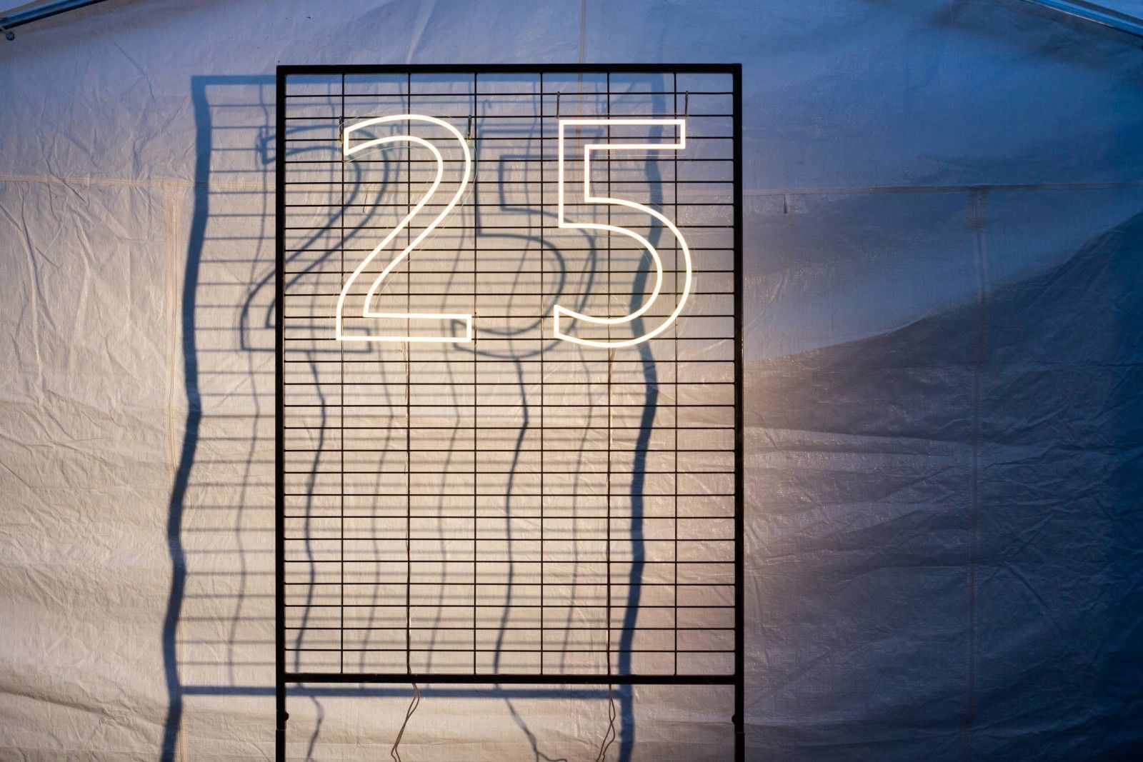 Zusammen mit unseren Mitarbeitern haben wir das 25-j&auml;hrige Jubil&auml;um gefeiert