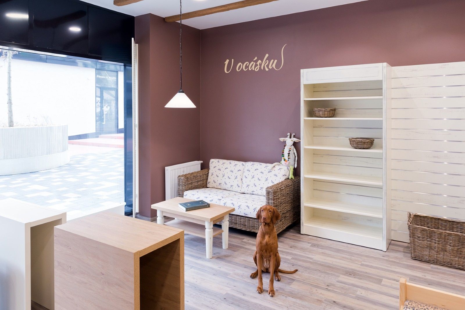 Neue Boutique f&uuml;r Ihre Haustiere von MORIS design